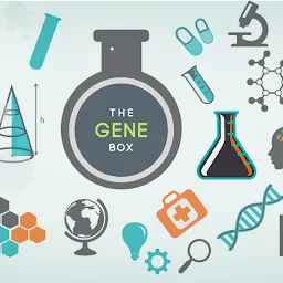 The Gene Box