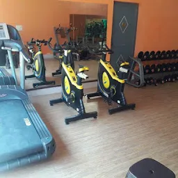 The Glorious Gym 3