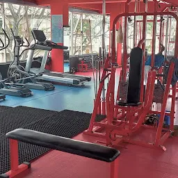 The Gym