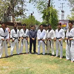 The iron fist martial arts academy