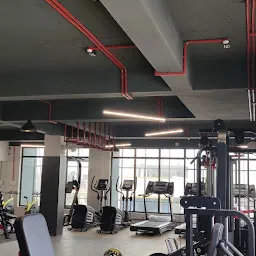 The Iron Gym