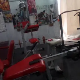 The Lion Gym