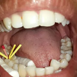 The Lotus Dental Care