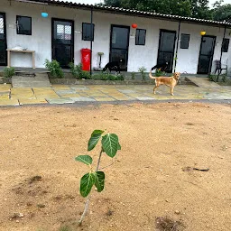 The Marley's Pet Resort & Training Centre, Boarding Kennel