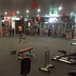 The Next Level Gym