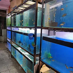 The Ocean Blue Fish Aquarium Shopee