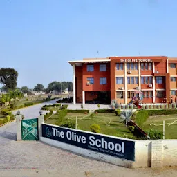 The Olive School - Best Private School, Kindergarten, Day Care Schools, CBSE school in Fatehabad