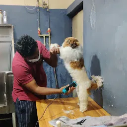 The Pet Spa
