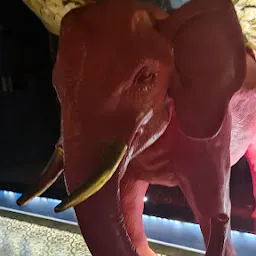 The Pink Elephant