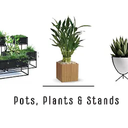 The Plant Boutique