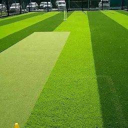 The Power Turf