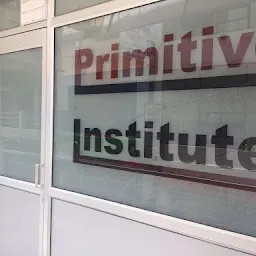 The Primitive Institute