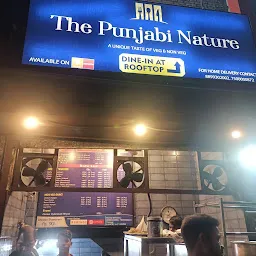 The Punjabi Nature