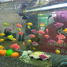 The Royal Aquarium & Pets