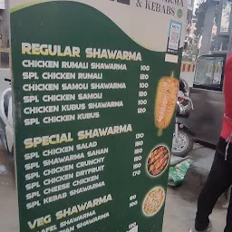 The Shawarma Bite