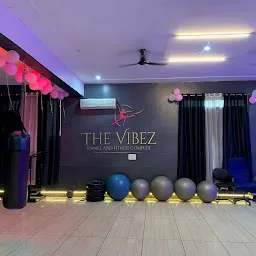THE VIBEZ DANCE & FITNESS COMPLEX - FARIDABAD