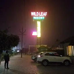 The Wildleaf