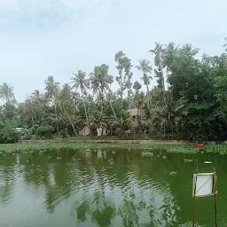 Thekkeveedu Kayalvaram View Point