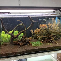 THEME AQUARIUM