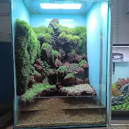 THEME AQUARIUM