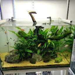 THEME AQUARIUM