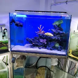 THEME AQUARIUM