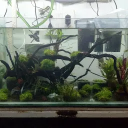 THEME AQUARIUM