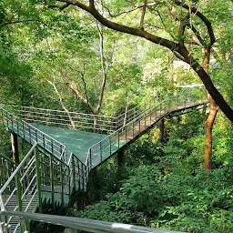 Thenmala Reserve Forest