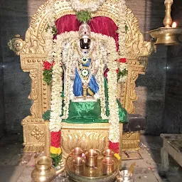 Thimmampalayam pudur MGR statue