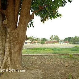 Sree Thirunettoor MahaVishnu Temple