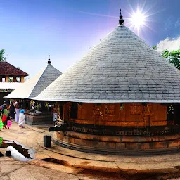 Thirupalkadal Sree Krishna Swami Temple