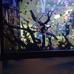 Thrissur Aquarium