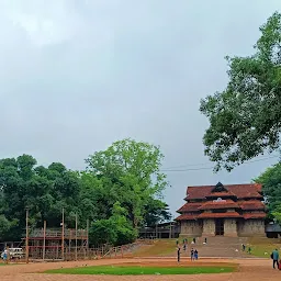 Thrissur Pooram Kudamattam Ground