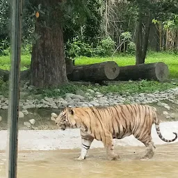 Tiger enclosure