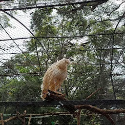 Tiger View Point