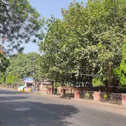 Tikuniya Park,Dalibagh Colony