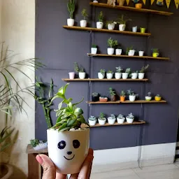 Tiny Pots n Plants