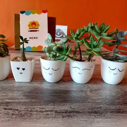 Tiny Pots n Plants