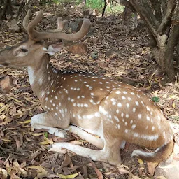 Tirumala Deer Park Reserve