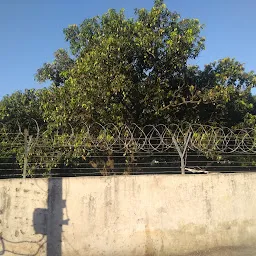 Tirupathi Trimala Bala Ji Garden