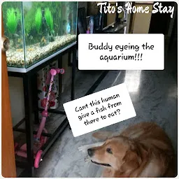 Tito's Home Stay (For dogs)