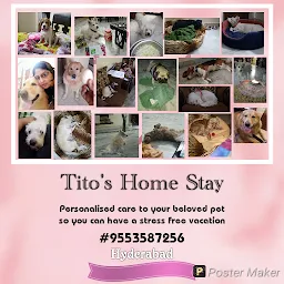 Tito's Home Stay (For dogs)