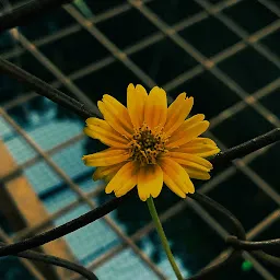 TMC Biodiversity Park