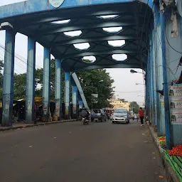 Tollygunge Bridge