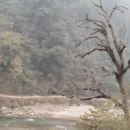 topden bhutia