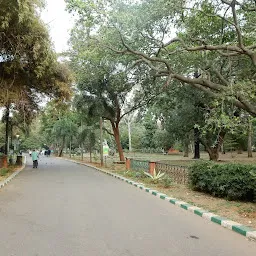 Topiary Garden - Lalbagh