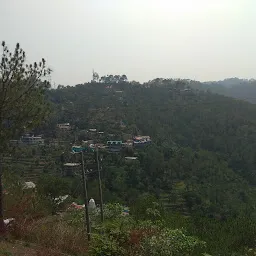 Toshali Resort Shimla