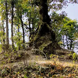 Tourist View Point