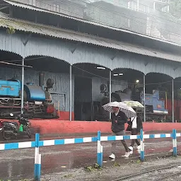 Toy Train - Darjeeling Himalayan Railways