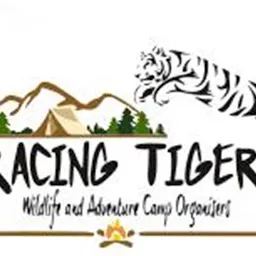Tracing Tigers